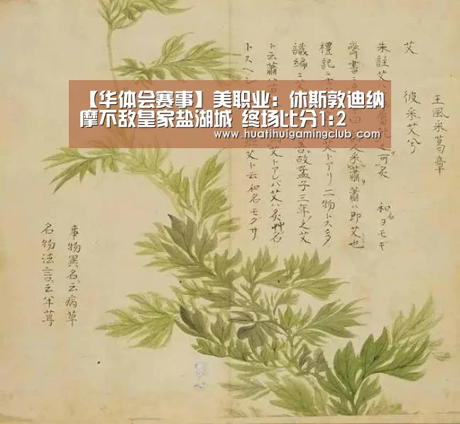 【华体会赛事】美职业: 休斯敦迪纳摩不敌皇家盐湖城 终场比分1:2(图3) 华体会下载